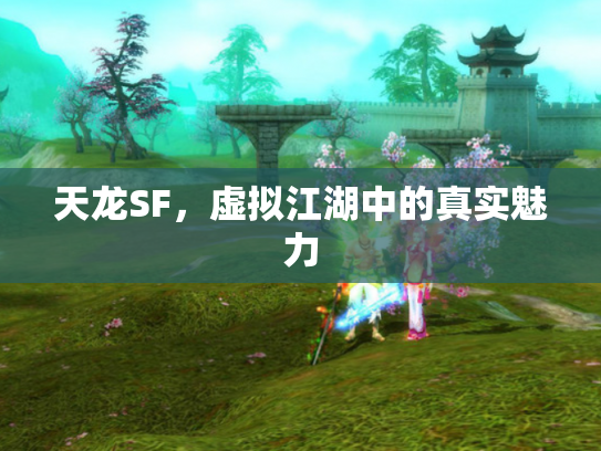 天龙SF，虚拟江湖中的真实魅力