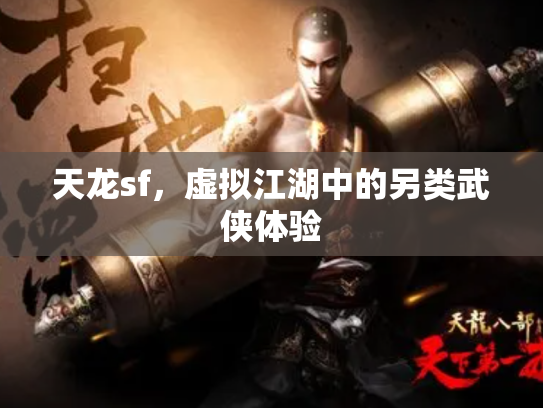 天龙sf，虚拟江湖中的另类武侠体验
