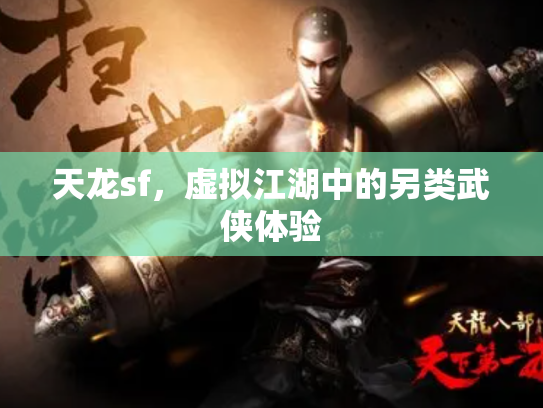 天龙sf，虚拟江湖中的另类武侠体验
