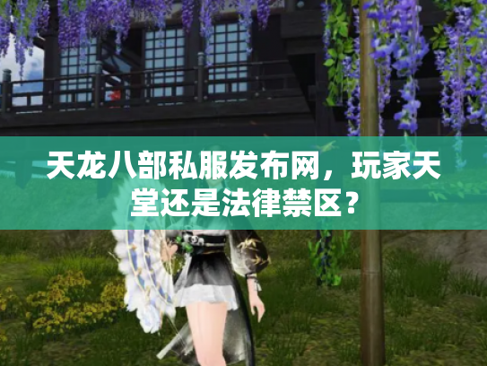 天龙八部私服发布网，玩家天堂还是法律禁区？