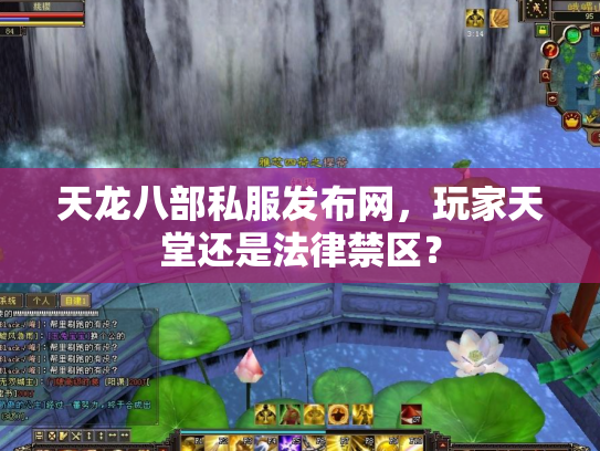 天龙八部私服发布网，玩家天堂还是法律禁区？