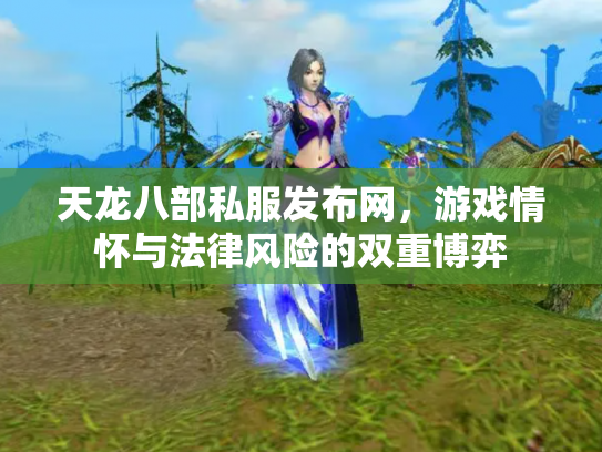 天龙八部私服发布网，游戏情怀与法律风险的双重博弈