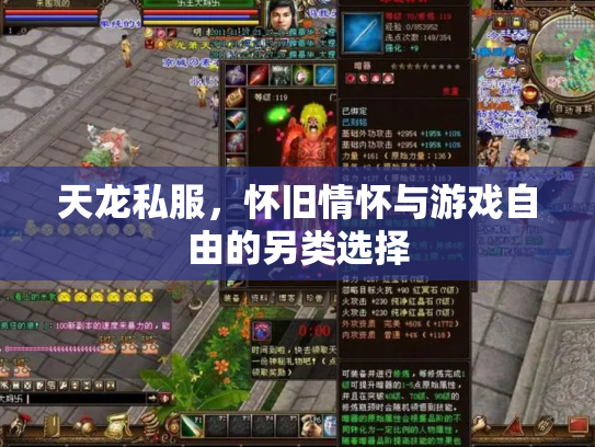 天龙私服，怀旧情怀与游戏自由的另类选择