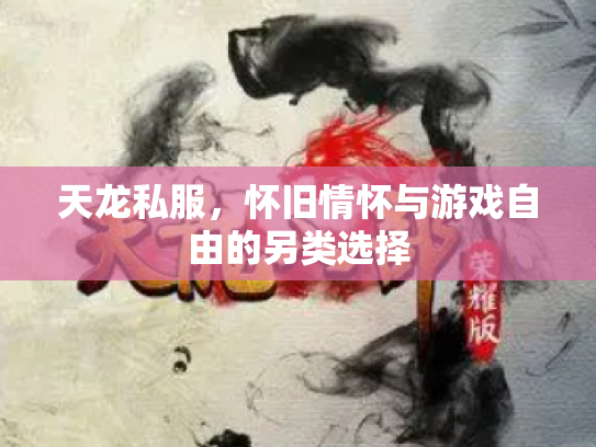 天龙私服，怀旧情怀与游戏自由的另类选择