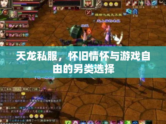 天龙私服，怀旧情怀与游戏自由的另类选择