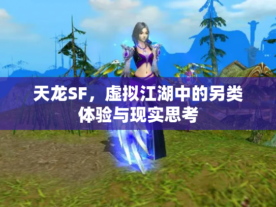 天龙SF，虚拟江湖中的另类体验与现实思考