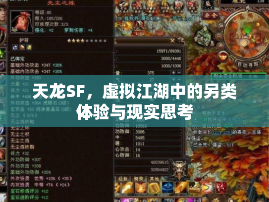 天龙SF，虚拟江湖中的另类体验与现实思考