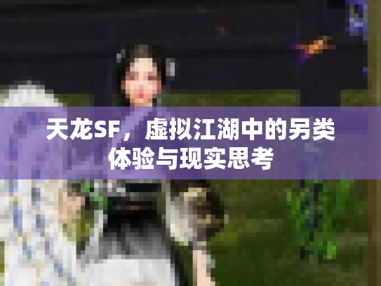 天龙SF，虚拟江湖中的另类体验与现实思考