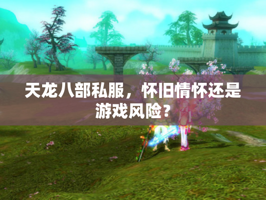 天龙八部私服，怀旧情怀还是游戏风险？