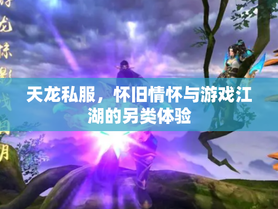 天龙私服，怀旧情怀与游戏江湖的另类体验