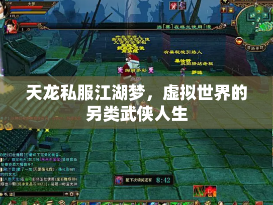 天龙私服江湖梦，虚拟世界的另类武侠人生