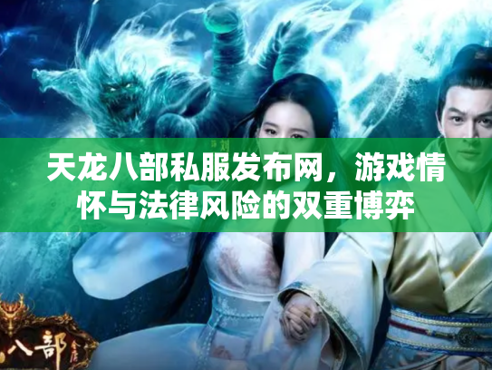天龙八部私服发布网，游戏情怀与法律风险的双重博弈