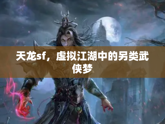 天龙sf，虚拟江湖中的另类武侠梦