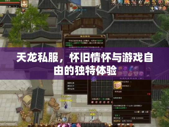 天龙私服，怀旧情怀与游戏自由的独特体验
