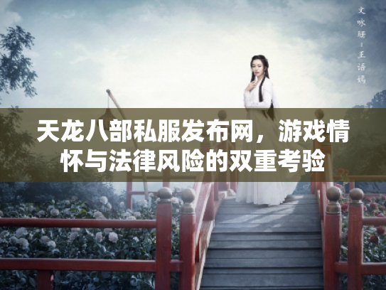 天龙八部私服发布网，游戏情怀与法律风险的双重考验