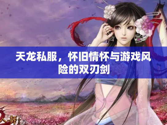 天龙私服，怀旧情怀与游戏风险的双刃剑