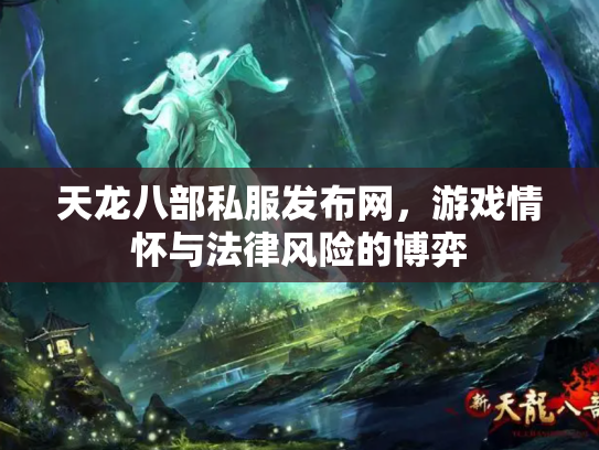 天龙八部私服发布网，游戏情怀与法律风险的博弈