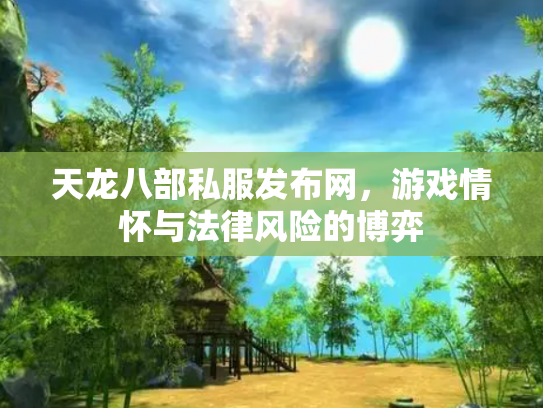 天龙八部私服发布网，游戏情怀与法律风险的博弈