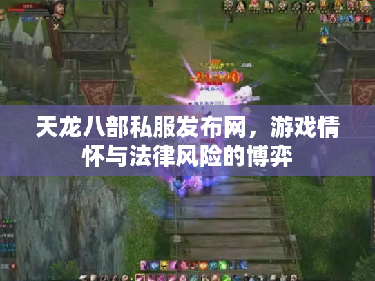 天龙八部私服发布网，游戏情怀与法律风险的博弈