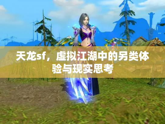 天龙sf，虚拟江湖中的另类体验与现实思考