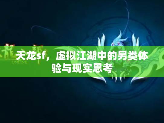 天龙sf，虚拟江湖中的另类体验与现实思考