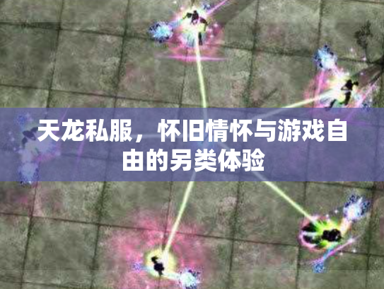 天龙私服，怀旧情怀与游戏自由的另类体验