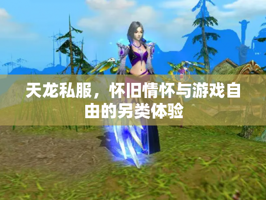 天龙私服，怀旧情怀与游戏自由的另类体验