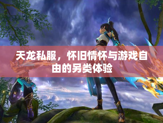 天龙私服，怀旧情怀与游戏自由的另类体验
