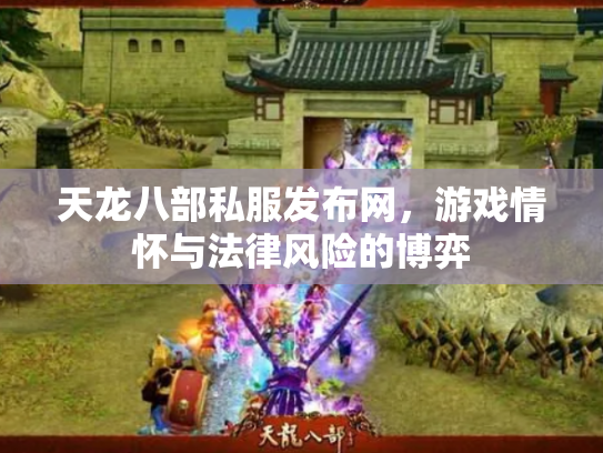 天龙八部私服发布网，游戏情怀与法律风险的博弈
