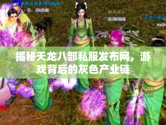 揭秘天龙八部私服发布网，游戏背后的灰色产业链