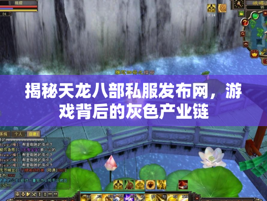 揭秘天龙八部私服发布网，游戏背后的灰色产业链