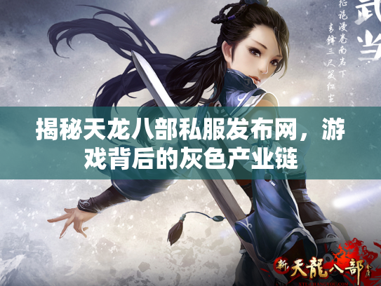 揭秘天龙八部私服发布网，游戏背后的灰色产业链