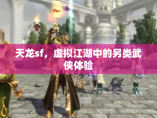 天龙sf，虚拟江湖中的另类武侠体验