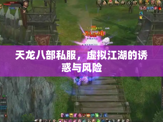 天龙八部私服，虚拟江湖的诱惑与风险