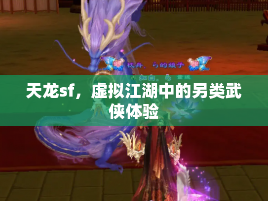 天龙sf，虚拟江湖中的另类武侠体验