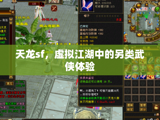 天龙sf，虚拟江湖中的另类武侠体验