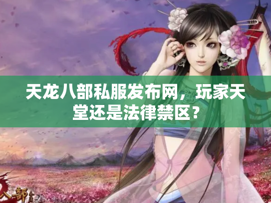 天龙八部私服发布网，玩家天堂还是法律禁区？