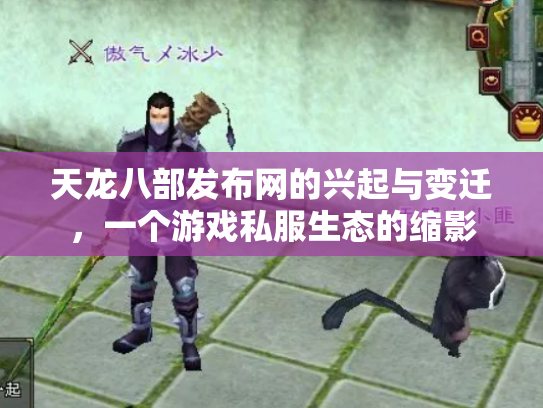 天龙八部发布网的兴起与变迁，一个游戏私服生态的缩影