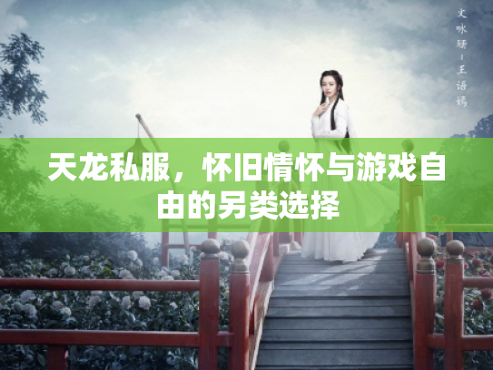 天龙私服，怀旧情怀与游戏自由的另类选择