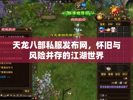 天龙八部私服发布网，怀旧与风险并存的江湖世界