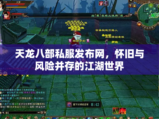 天龙八部私服发布网，怀旧与风险并存的江湖世界
