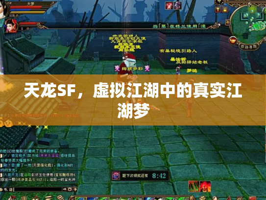 天龙SF，虚拟江湖中的真实江湖梦