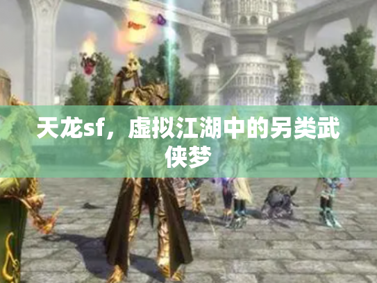 天龙sf，虚拟江湖中的另类武侠梦