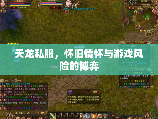 天龙私服，怀旧情怀与游戏风险的博弈