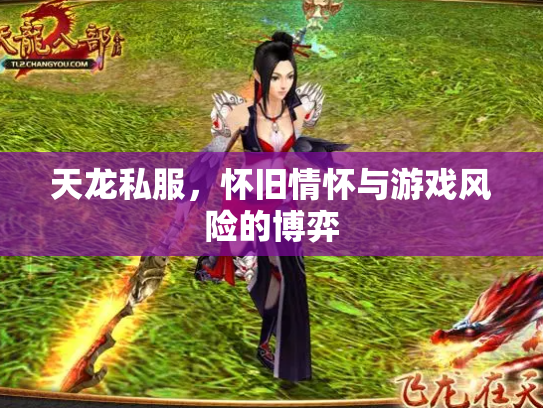 天龙私服，怀旧情怀与游戏风险的博弈