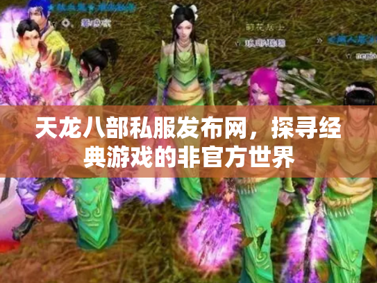 天龙八部私服发布网，探寻经典游戏的非官方世界