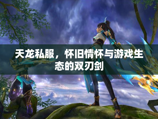 天龙私服，怀旧情怀与游戏生态的双刃剑