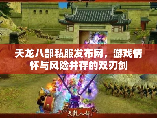 天龙八部私服发布网，游戏情怀与风险并存的双刃剑