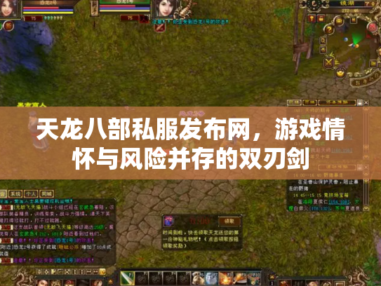 天龙八部私服发布网，游戏情怀与风险并存的双刃剑
