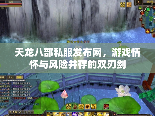 天龙八部私服发布网，游戏情怀与风险并存的双刃剑